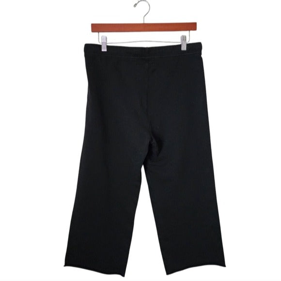 FRANK & EILEEN Catherine Favorite Sweatpant in black size Small
