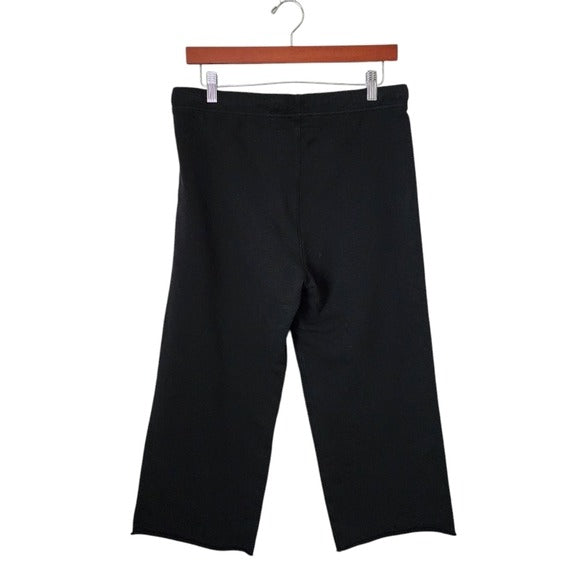 FRANK & EILEEN Catherine Favorite Sweatpant in black size Small