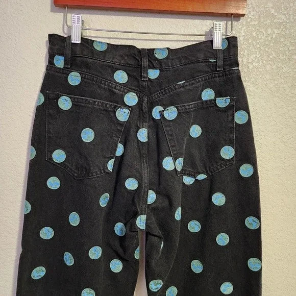 REFORMATION Earth Embroidered High Rise Straight Long Jeans Size 28 NWOT