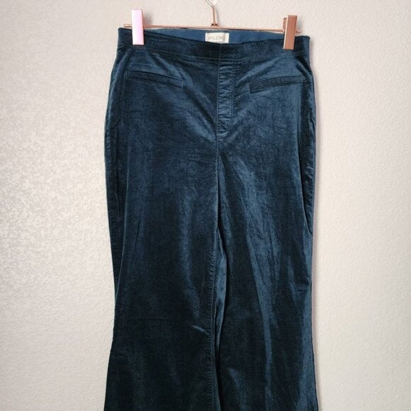 ANTHROPOLOGIE PILCRO Pull on Pants Retro Flare velvet Pants Sea green 29
